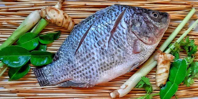 8 Most Popular Freshwater Fish Types for Consumption, One of Them is ...