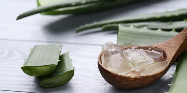8 Benefits of Aloe Vera for Hair, Effective in Treating Dandruff - Relieve Itching