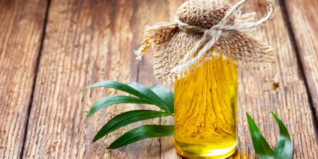 8 Benefits of Bulus Oil for Health - Beauty, Proven Effective in Firming Breasts?