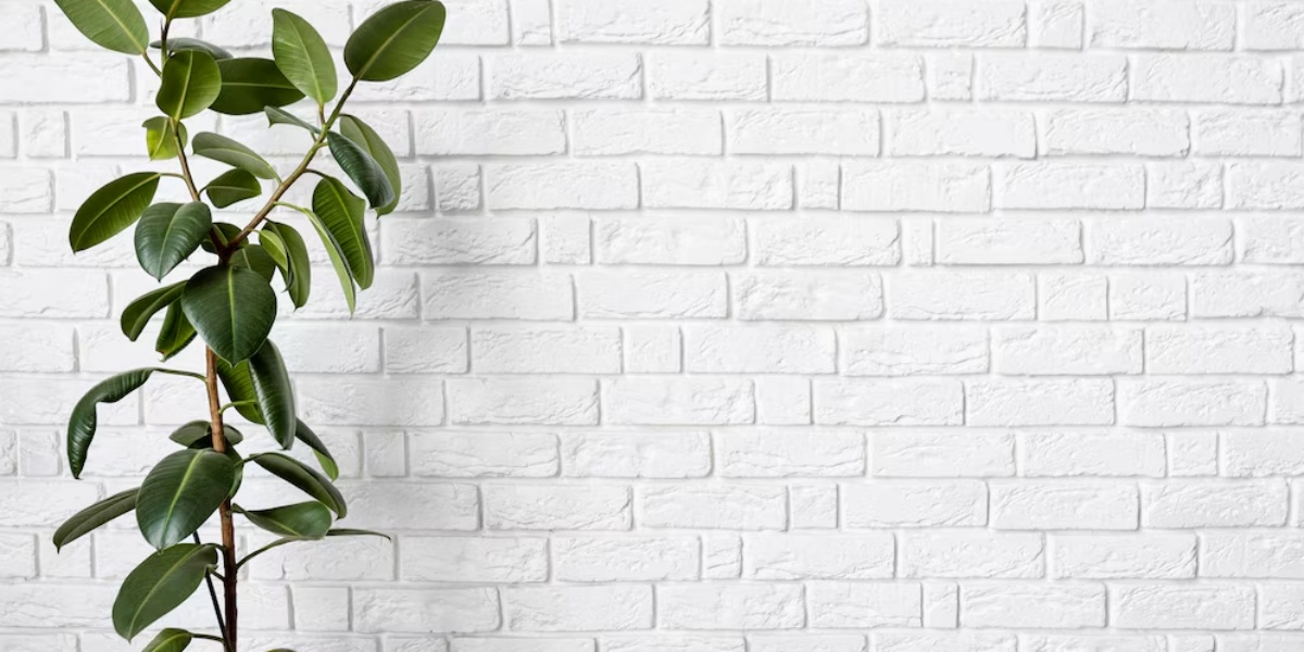 8 Recommendations for Natural Stone Wall Models for Homes in 2025, Beautifying Residences