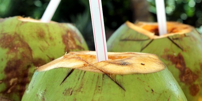 9 Benefits of Young Coconut Water for Health and Beauty, Prevent Dehydration - Premature Aging