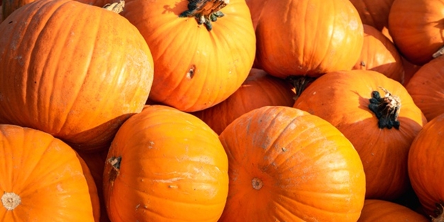 9 Benefits of Pumpkin for Health, Weight Loss - Brain Health