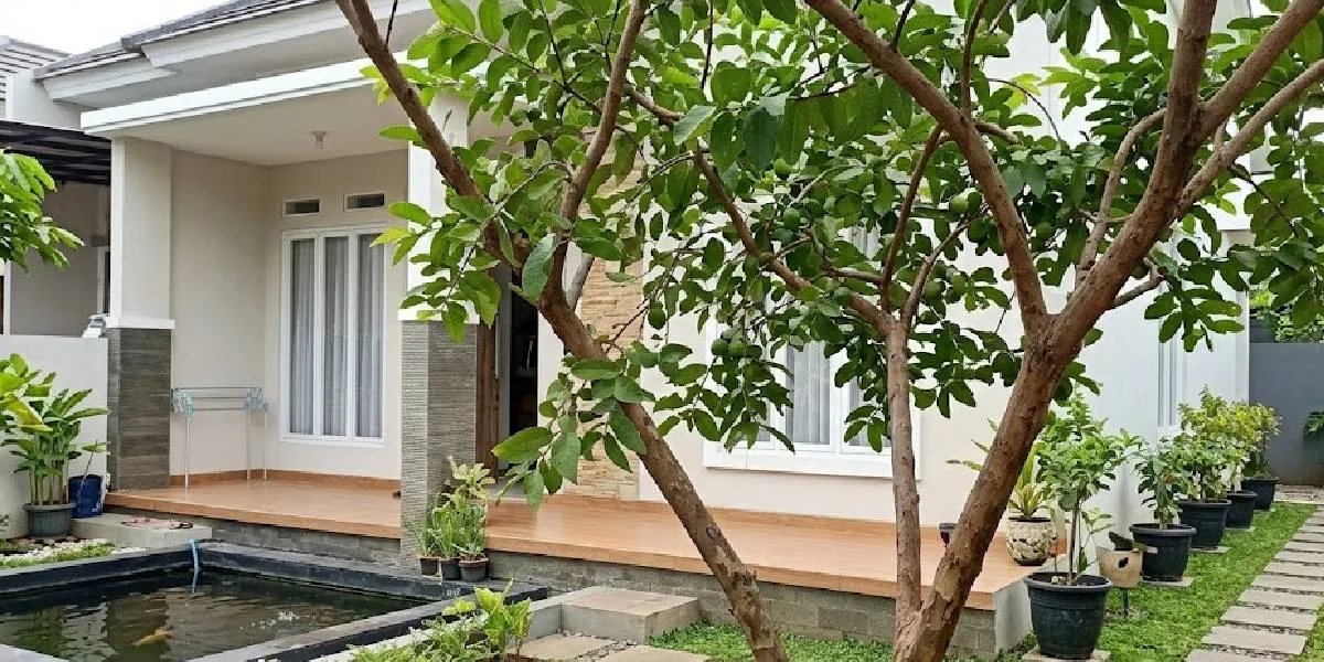 9 Fruit Trees That Are Less Likely to Attract Bats, Suitable for Planting in Home Gardens
