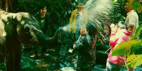 Petualangan Menyelamatkan Anak Gajah