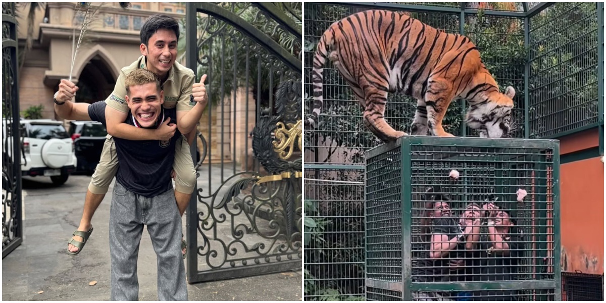 Aisar Khaled Panicked Entering Alshad Ahmad's Tiger Cage, His Funny Expression Makes Netizens Laugh!