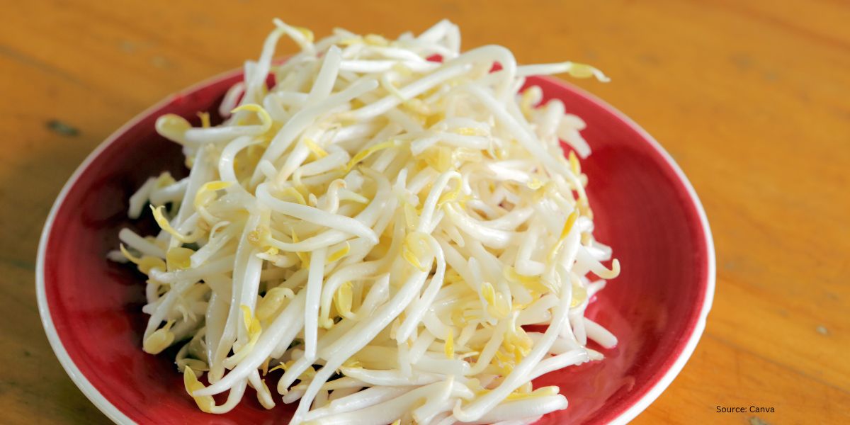 Can Bean Sprouts Lower Uric Acid Levels? Here's the Explanation