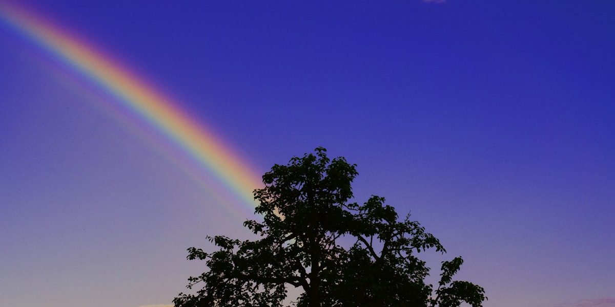 The Meaning of Dreaming of Seeing a Rainbow According to Javanese Primbon: A Symbol of Hope and Fortune