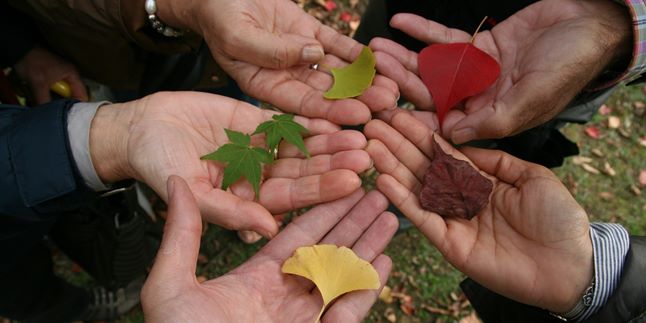 The Meaning of Tolerance: General Definition and According to Experts, Know the Types and Benefits