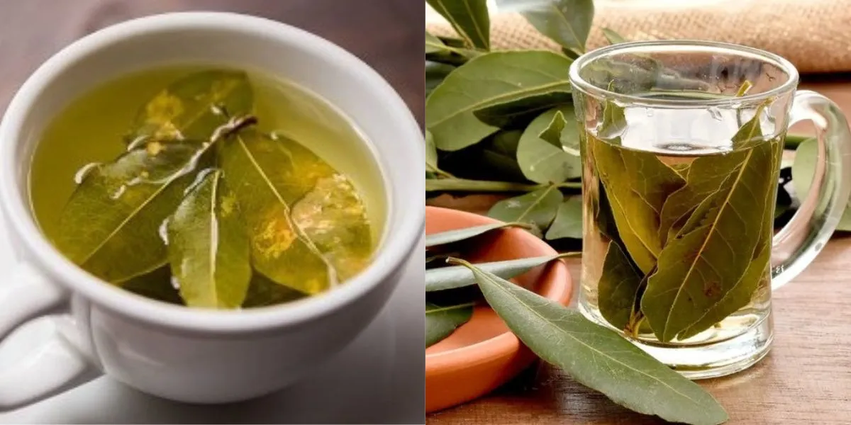 Overcome Blood Sugar and Cholesterol with Leaf Decoction, Easy and Powerful!