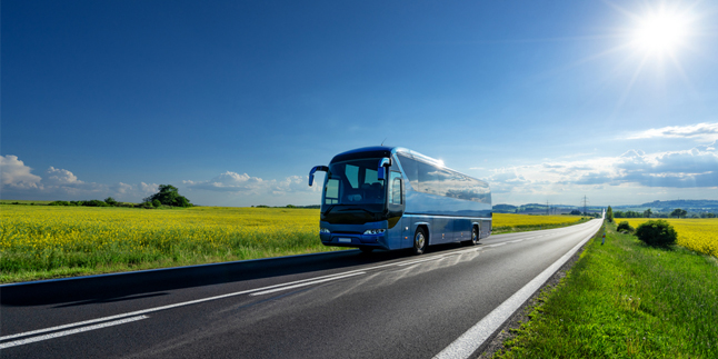 Beauty is The Buses, Cool Bus Transformations