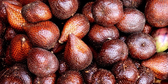 Not Many Know These 8 Benefits of Salak Fruit for Health, Can Help Lose Weight