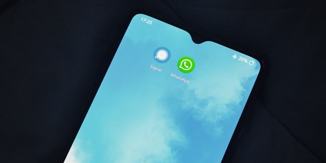 How to View WhatsApp Backup on Google Drive Correctly and Easily