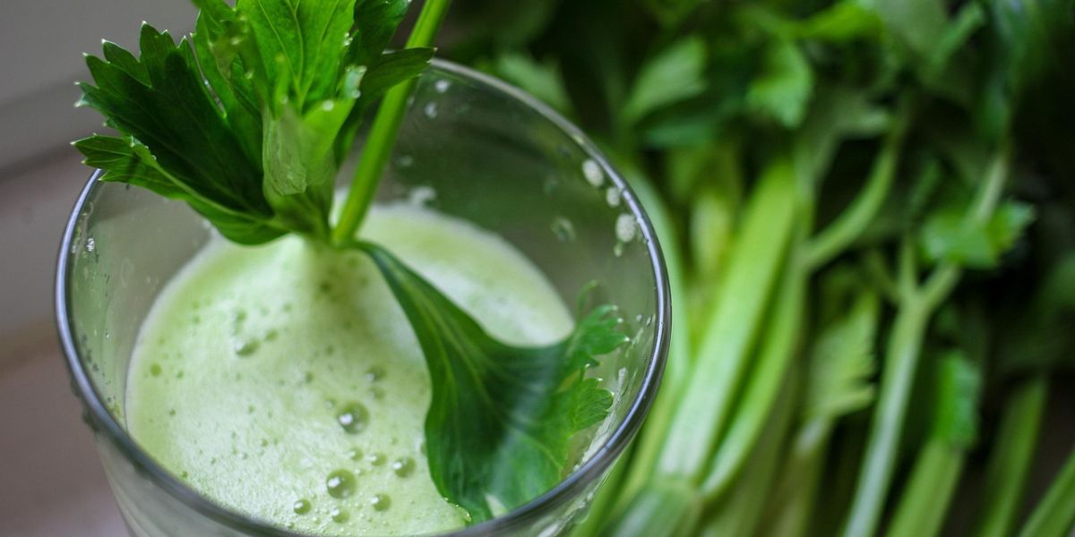 How to Make Celery Juice for Cholesterol, Easy and Can Be Created with Various Fruits