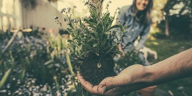 How to Make Simple Compost Fertilizer Easily, Use Household Waste