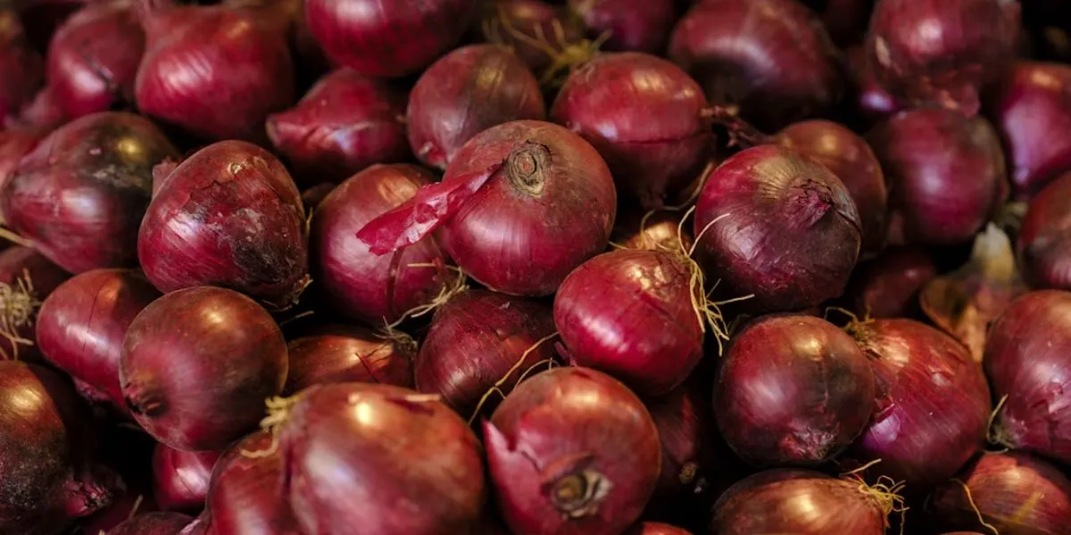 How to Store Red Onions to Keep Them Fresh and Not Spoil Quickly