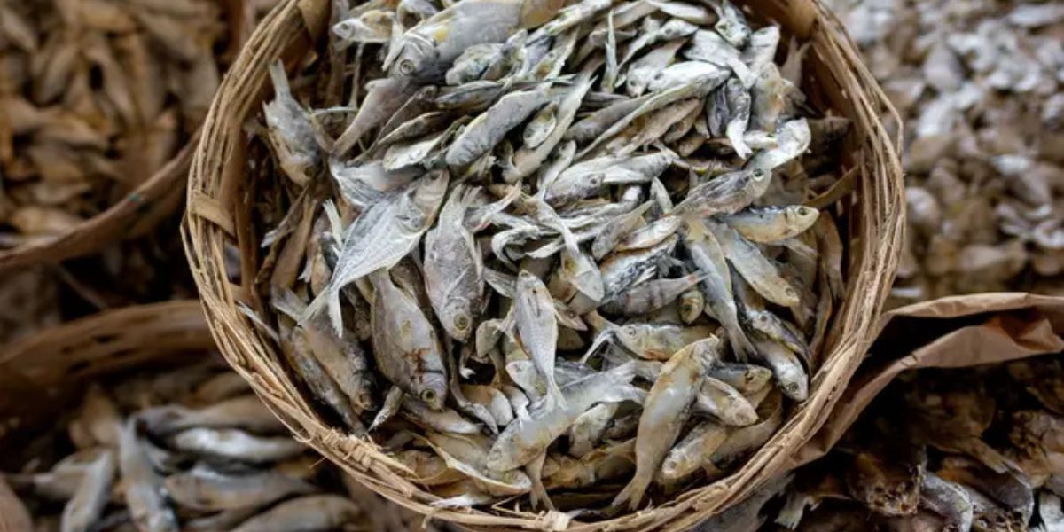 Easy Ways to Reduce Saltiness in Salted Fish, Guaranteed Practical and Effective