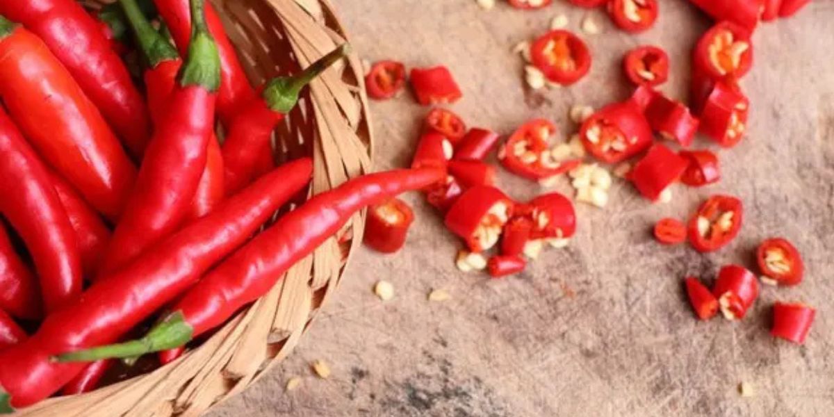 How to Store Chili Peppers to Keep Them Fresh and Lasting Longer