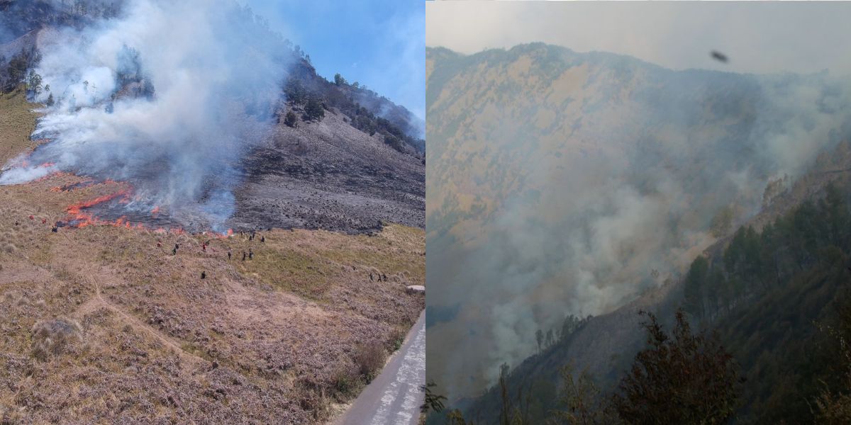 For Visitor Safety, Entrance to Mount Bromo Tourist Area Closed Due to Forest Fires