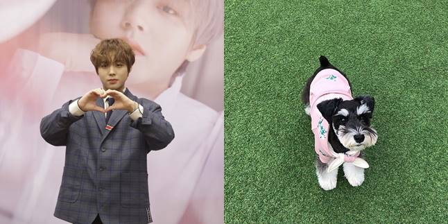 Asked about the Meaning of May, Family, or Max, Park Jihoon Gives Touching Answer