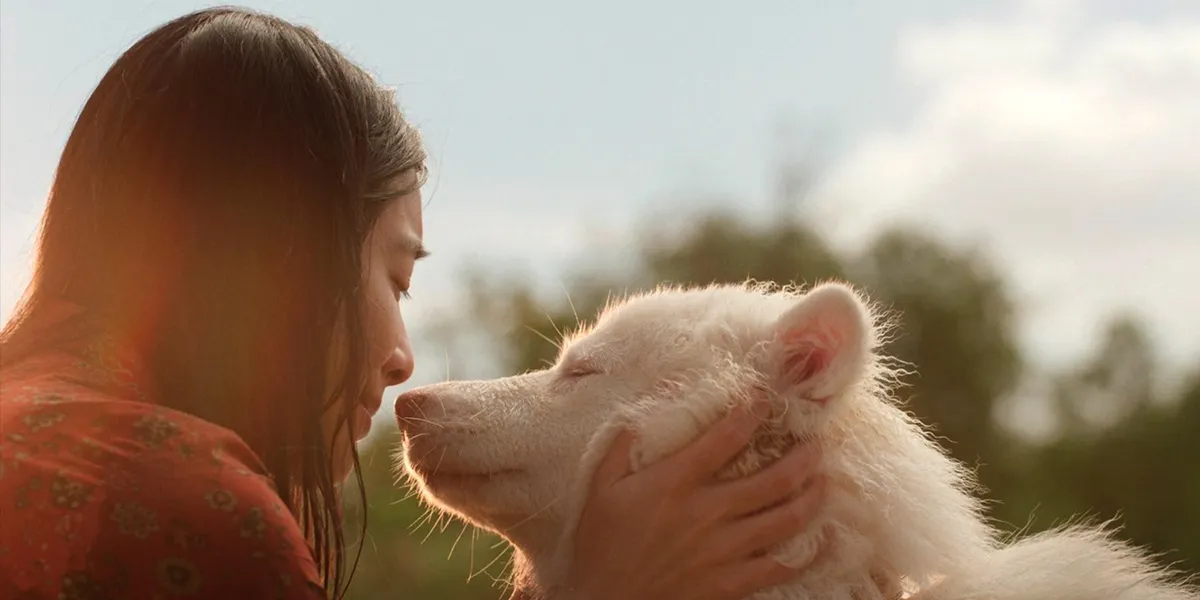  Film GOHAN: Sinopsis, Pemeran, dan Fakta Menarik yang Bikin Haru 