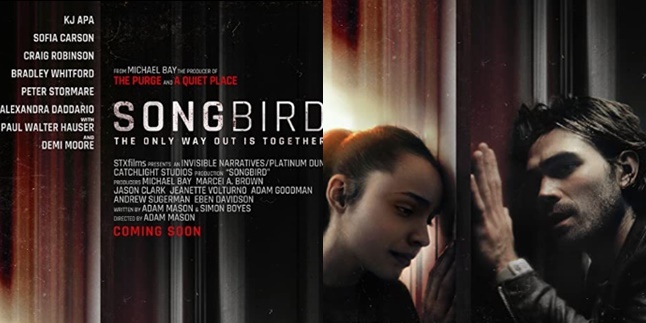 Lift Pandemic Theme, 'SONGBIRD' Receives Harsh Criticism from Netizens
