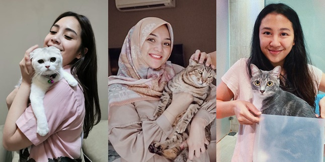 So Sweet, Here are 8 Sweet Moments of Celebrities with Their New Pet Cats, Nagita Slavina Included