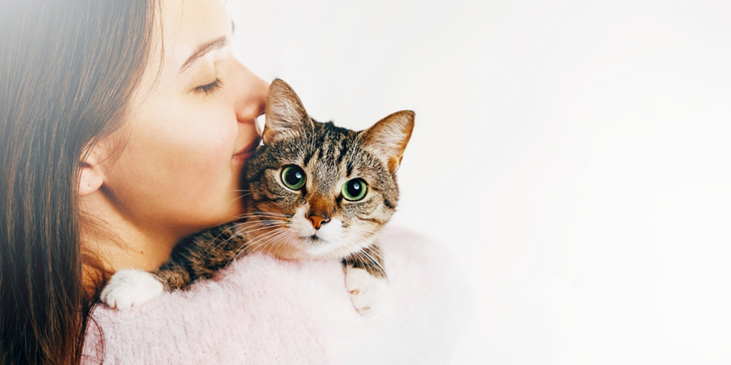 Happy and Healthy, Here are 10 Things You Can Learn from Your Beloved Cat