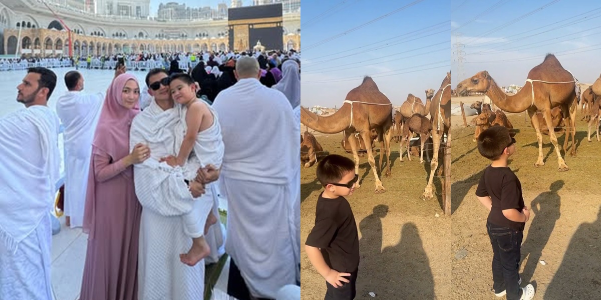 Animal Collection Hobby, Athar's Portrait, Citra Kirana's Child Now Wants a Camel to Take Home While Participating in Umrah