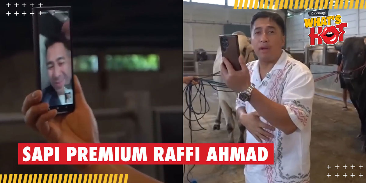 Idul Adha is Near, Here is the Appearance of Raffi Ahmad's Premium Cattle