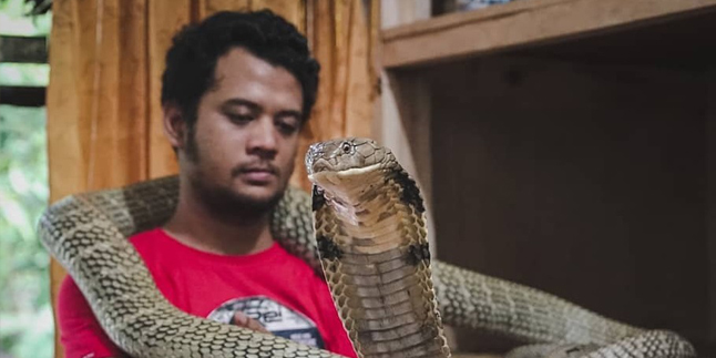 Wanting to Release Garaga, Panji Petualang is Worried that it Will Return Wild and Be Killed