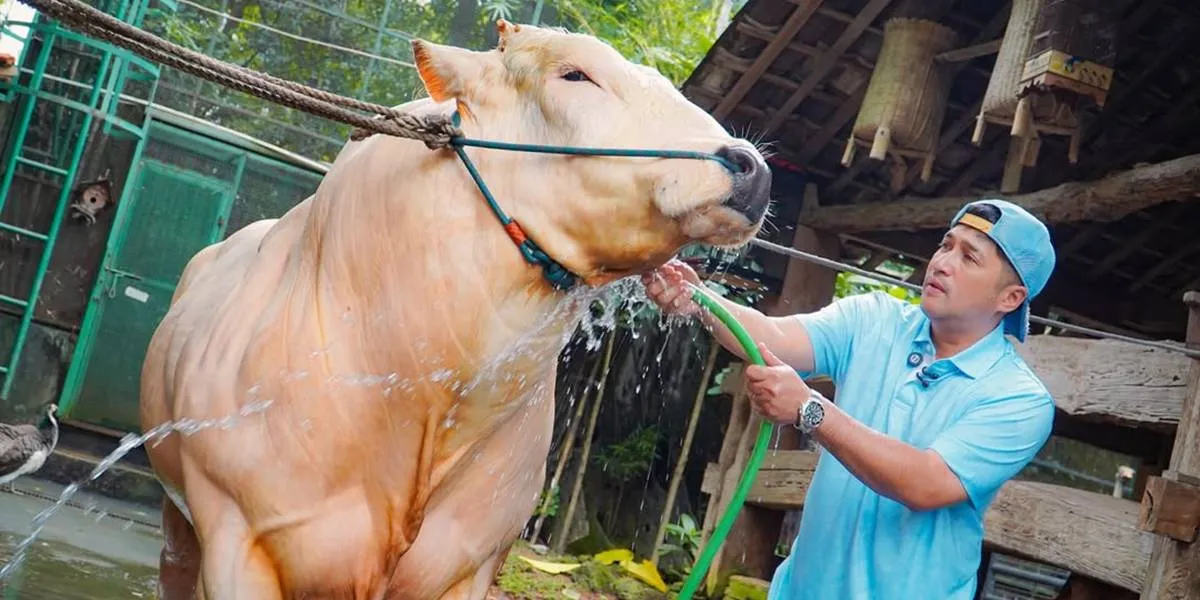 Irfan Hakim, the Jumbo Cattle Merchant, Gains Trust from President Prabowo