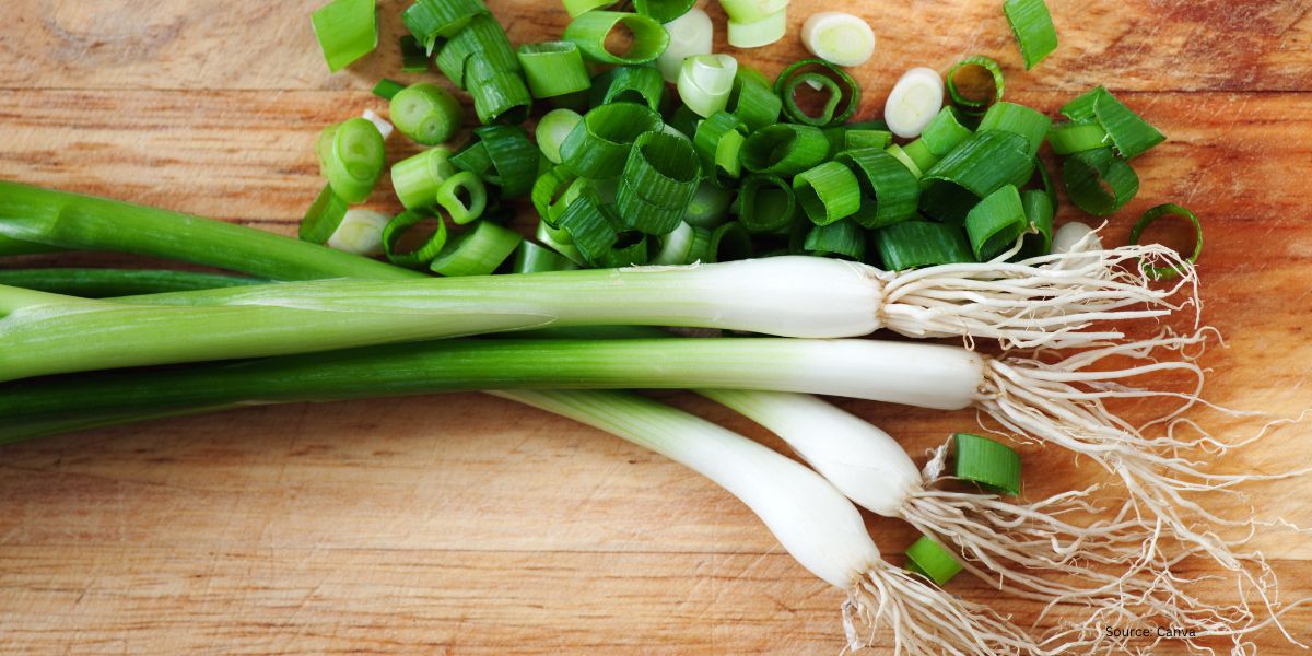 Green Onion Slices Without Slime Using Just One Ingredient