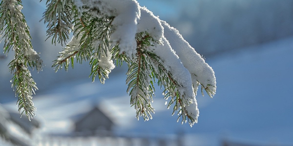 Cold Terms in Japanese, Complete with Example Sentences and Winter Culture in Society