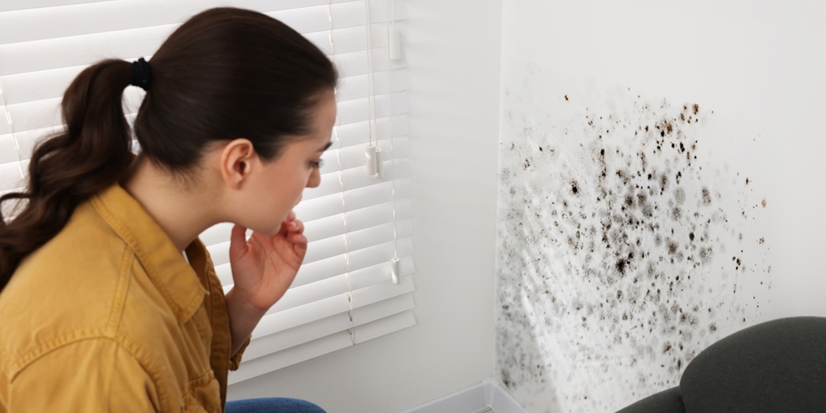 Don't Underestimate, These 4 Signs of Leaking Walls Can Cause Serious Leaks!