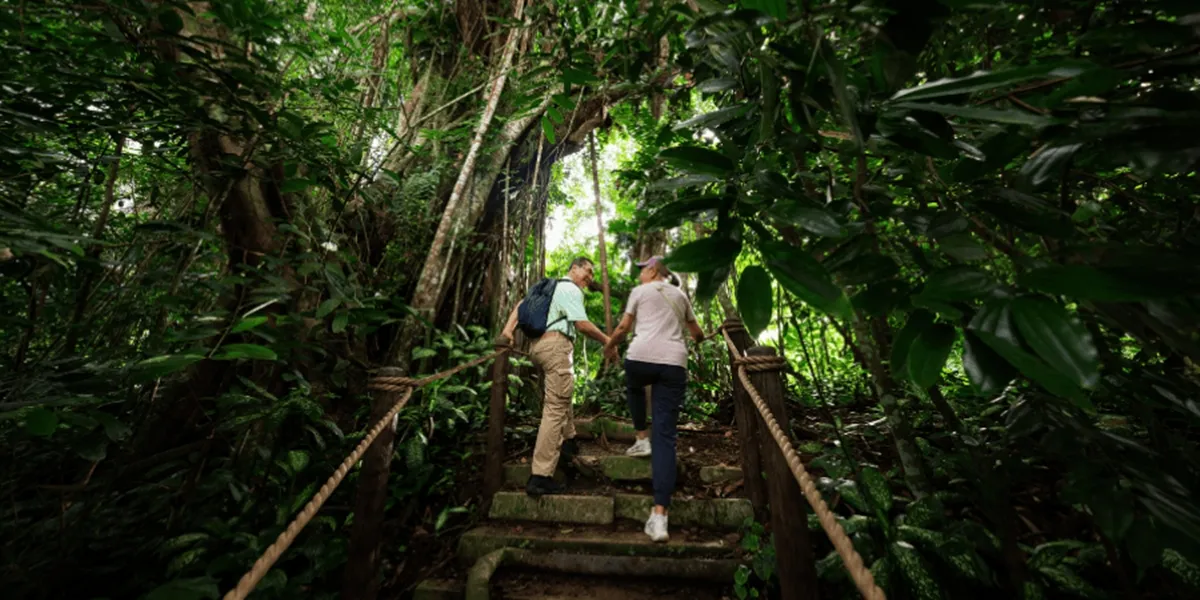Explore Rainforest Wild Asia, a New Adventure at Mandai Wildlife Reserve with the Cave-themed CAVERN Restaurant!