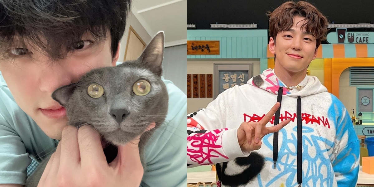 Kim Min Kyu's Character Viewed from His MBTI, the Dimple Oppa Who Turns Out to Be a Cat Lover