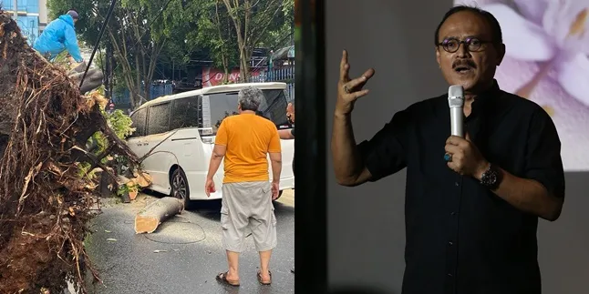 Strange Incident Before Erros Djarot's Car Hit by a Tree, the Car Couldn't Start & Caused No Harm