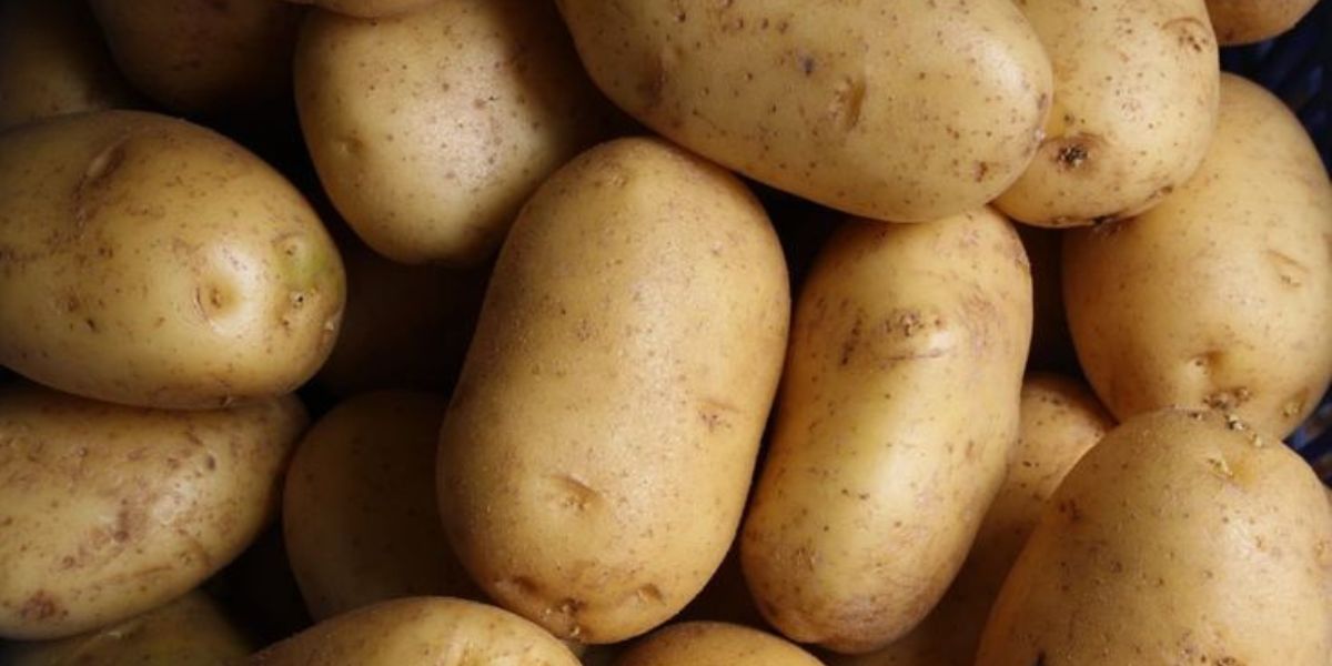 Potatoes as a Natural Solution for Gout: A Complete Guide