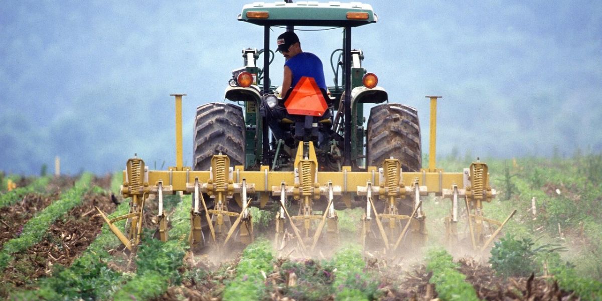 The Benefits of Being a Millennial Farmer, Contributing to National Food Security and Earning a Salary of Rp10 Million per Month