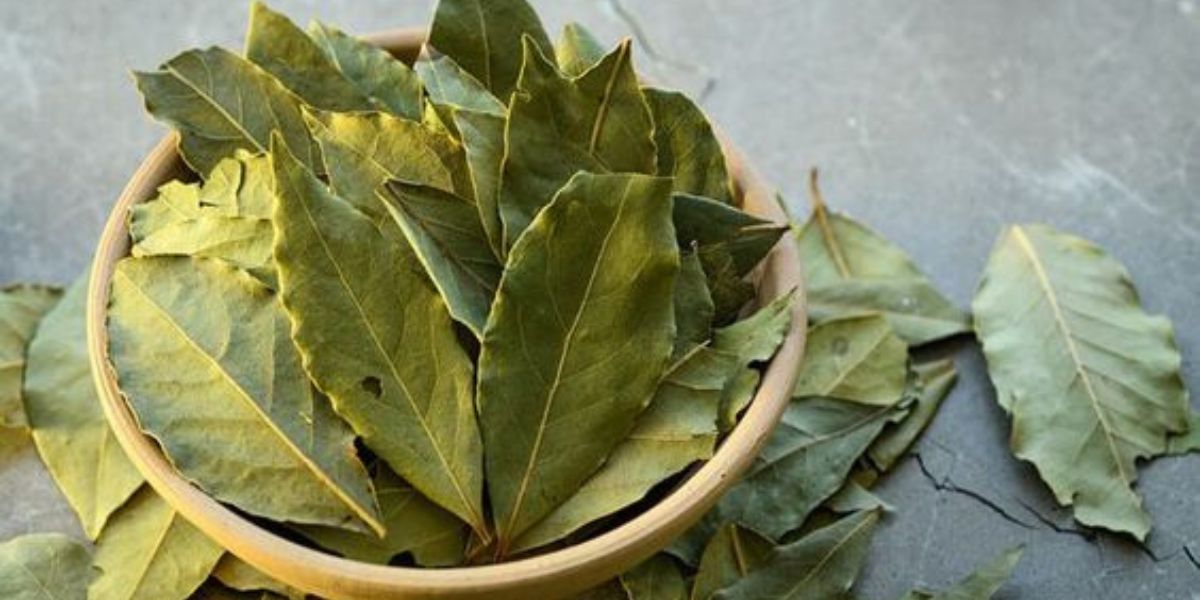 Consume This Leaf Every Day to Manage Blood Sugar and Cholesterol