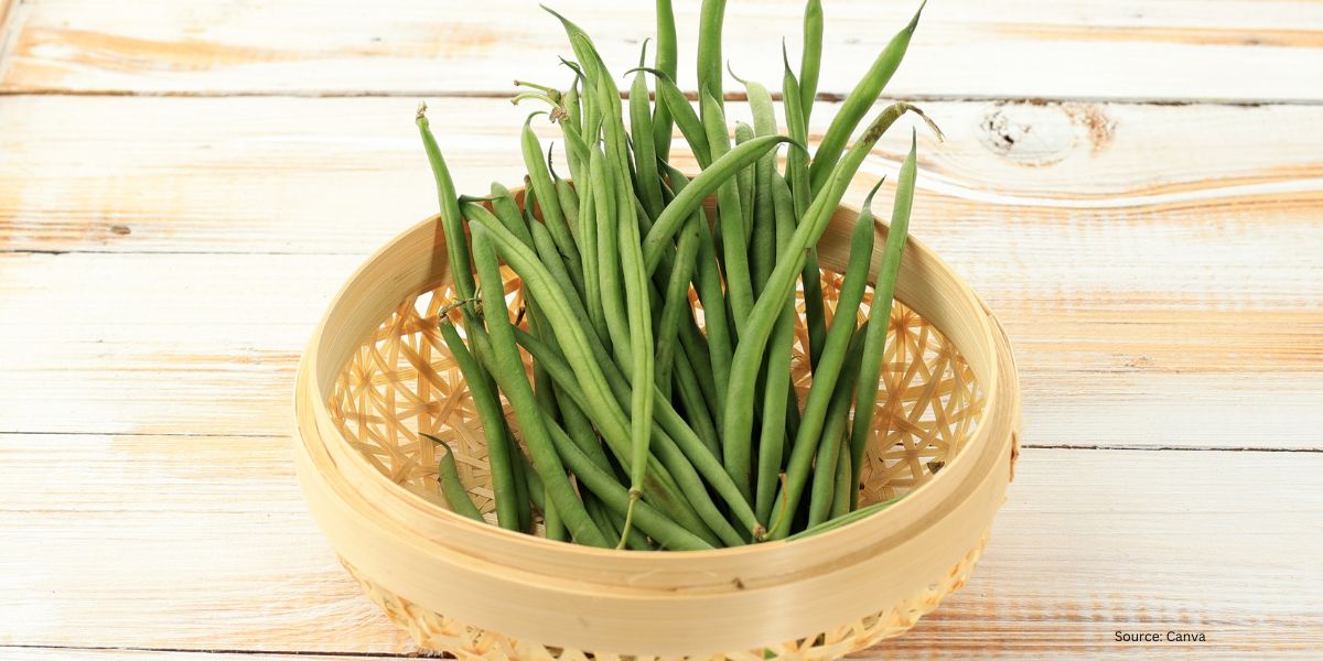 Crispy Fried Green Beans You Must Try