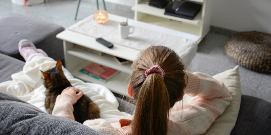 Persian Cat Enjoys Watching TV, What is Anabul Actually Seeing?