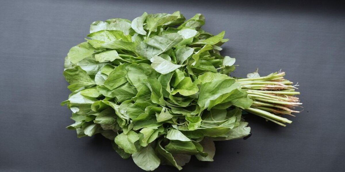 Steps to Boil Spinach for Diabetes, Know These 3 Things to Keep Its Nutrients Intact and Not Turn into Harmful Substances