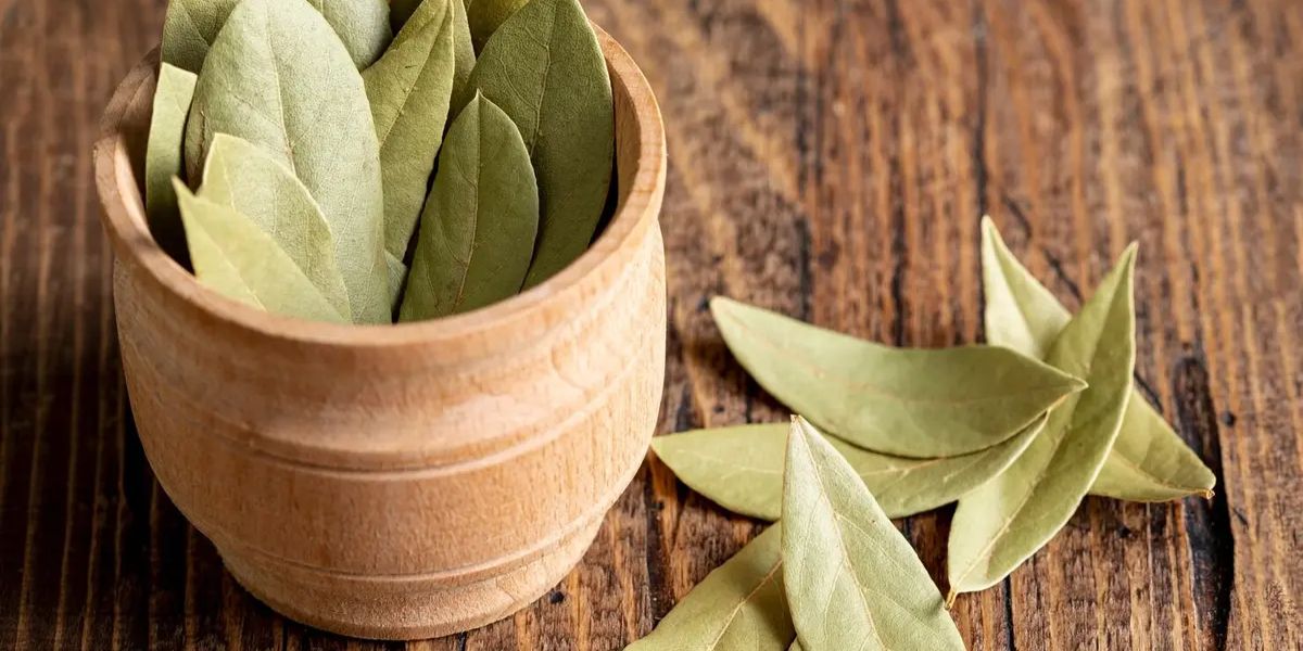 Benefits of Bay Leaves for Lowering Cholesterol and Managing Blood Sugar