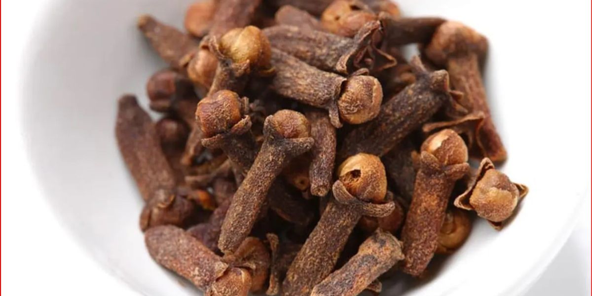 The Benefits of Clove Leaf Infusion for Cholesterol and Blood Sugar, Here's How to Make It