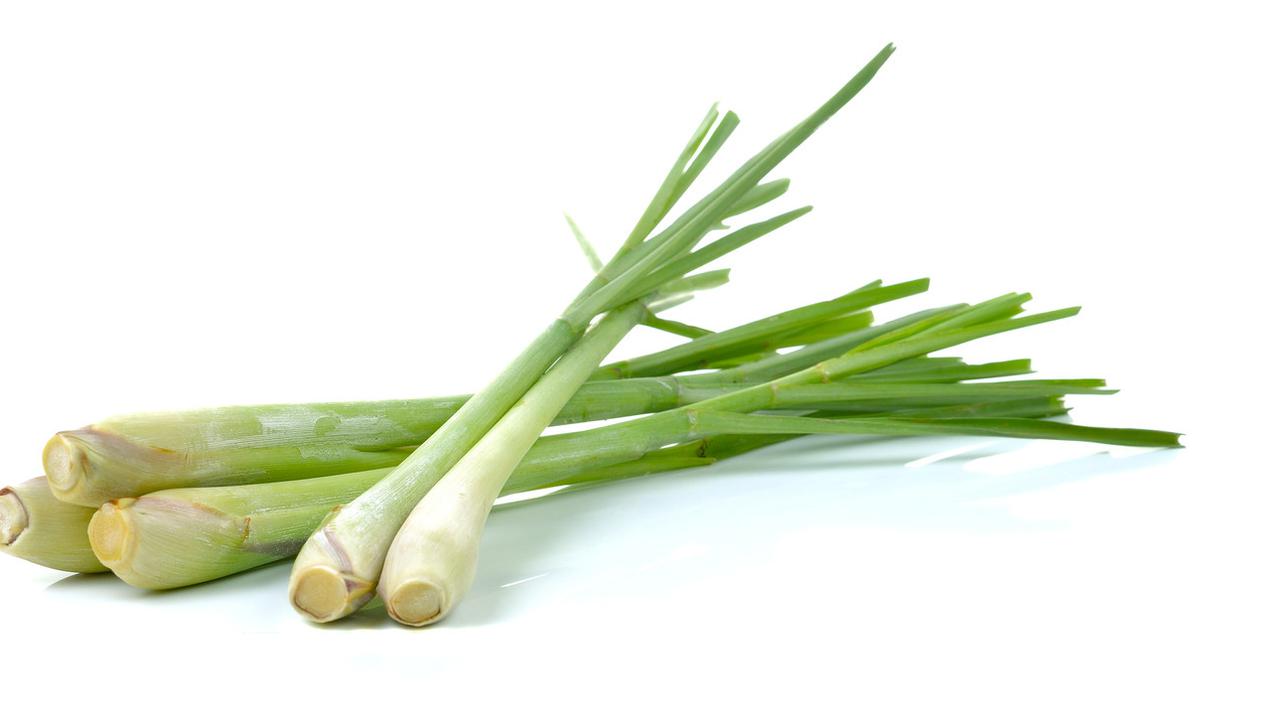 Benefits of Lemongrass for Health, Can Relieve Pain Due to PMS