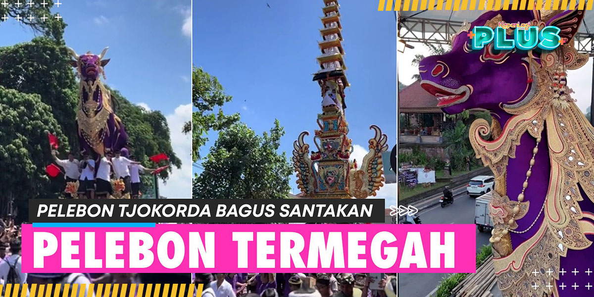 The Grand Ceremony of Pelebon Tjokorda Bagus Santakan in Ubud Bali - Purple Cow Steals Attention