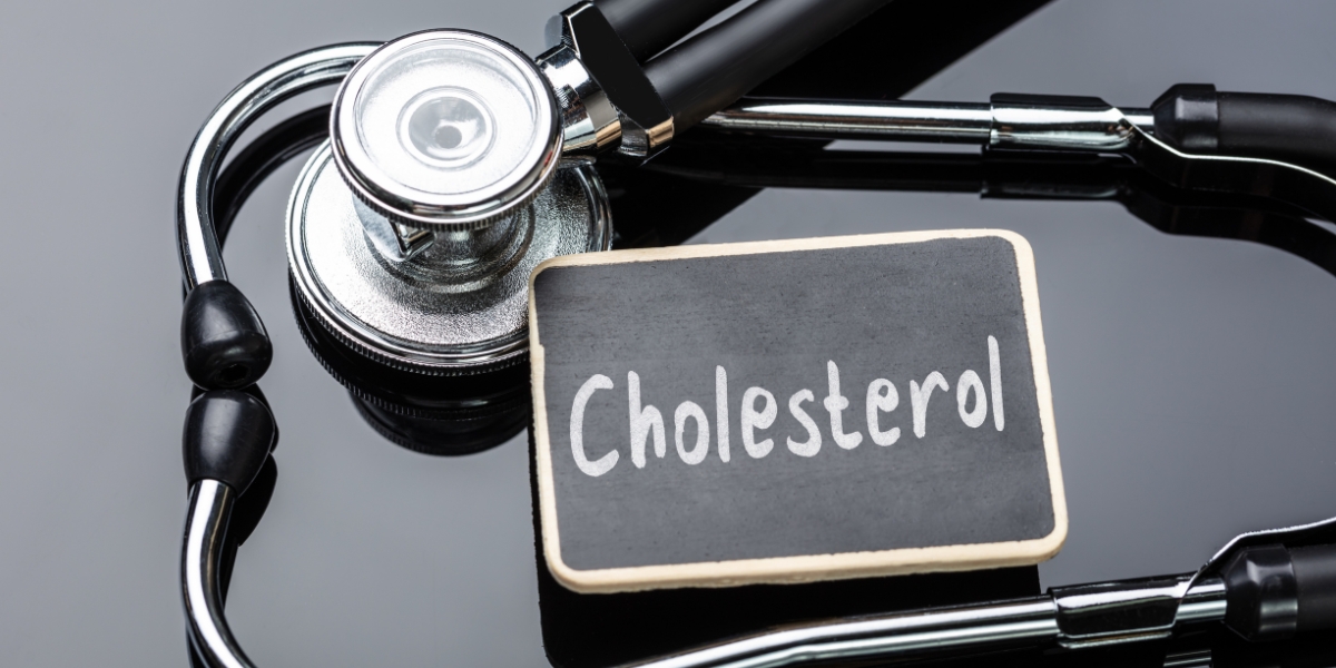 Understanding Cholesterol and Uric Acid: Understand the Differences, Find Prevention Methods, and Choose the Ideal Diet!