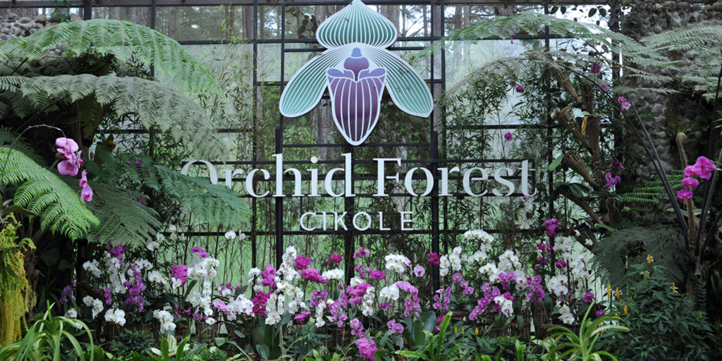 Exploring Orchid Forest Cikole, the Place where Si Doel Chooses His Beloved 27 Years Later