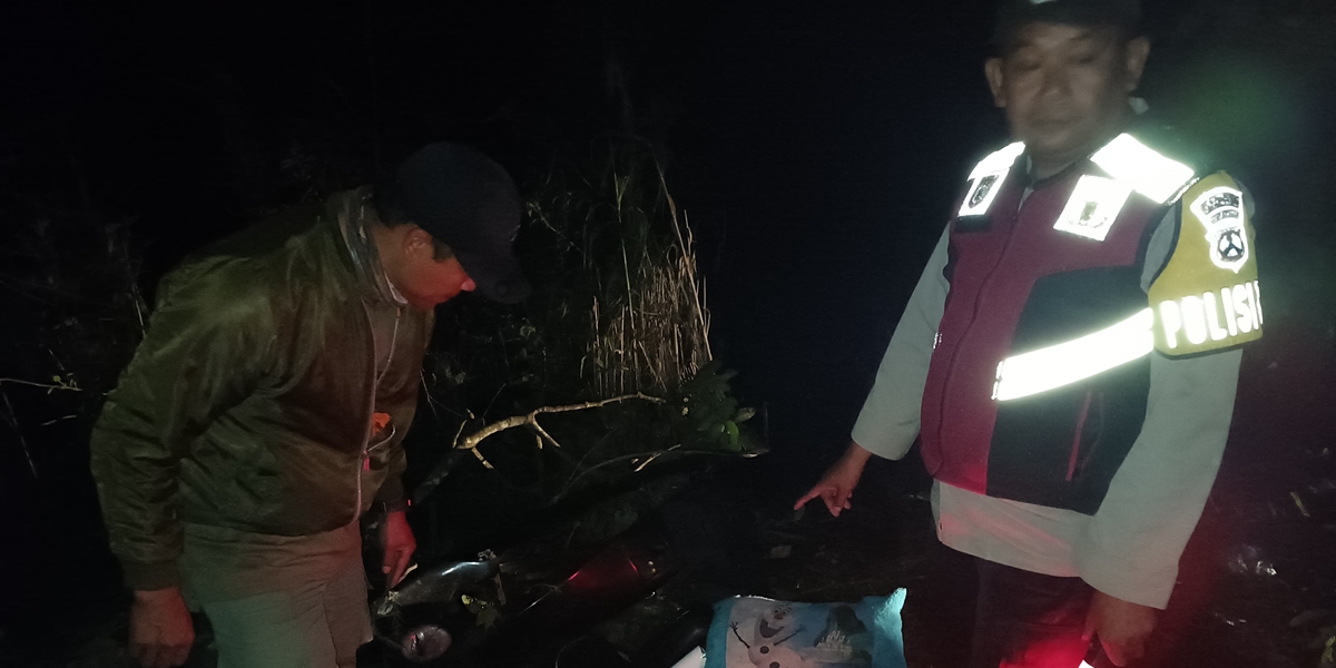 Tourists' Car Plunges into Ravine on the Road to Bromo, 4 Passengers Dead